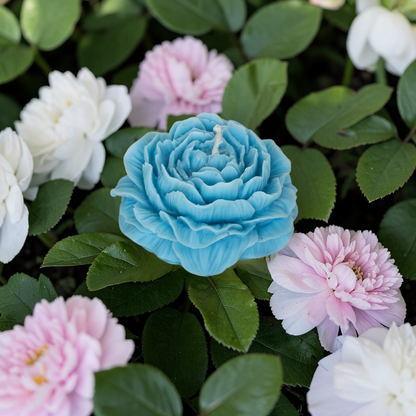 My Little Pivoine Seynarie Bougie